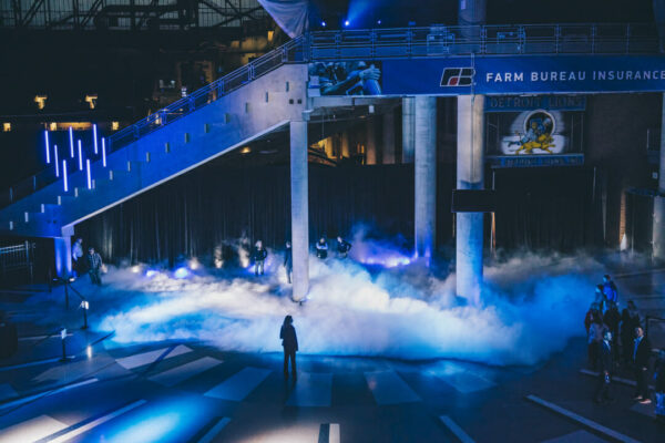 Lions Reveal Lions Reveal