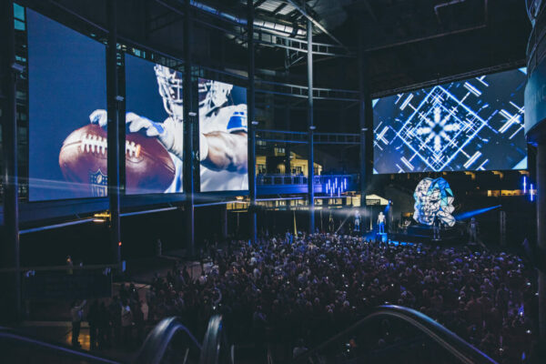 Lions Reveal Lions Reveal