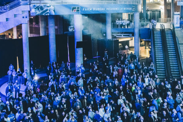 Lions Reveal Lions Reveal