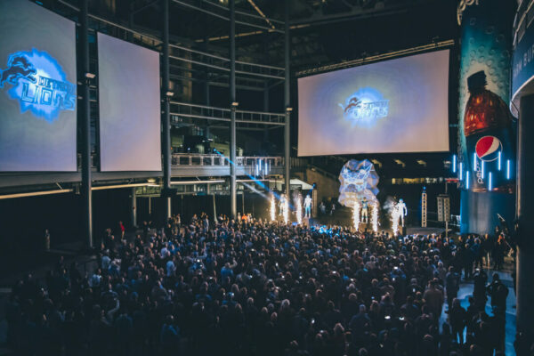 Lions Reveal Lions Reveal