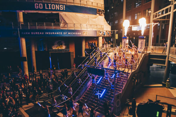 Lions Reveal Lions Reveal