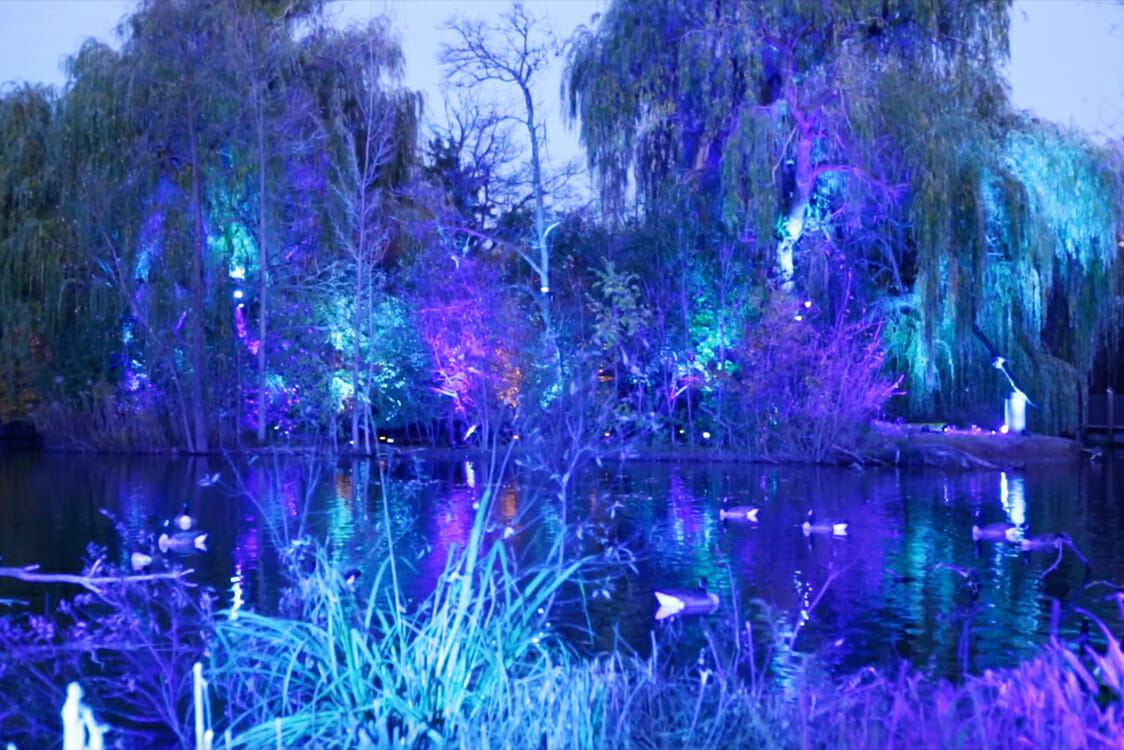 A Look Back at the Zoo Lights LED & Projection Mapping Bluewater