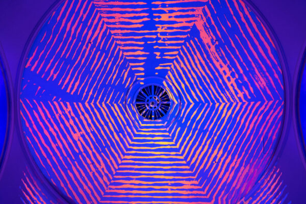 LSC Church Perfomance 15 Lance Gerber LSC Church Perfomance 15 Lance Gerber