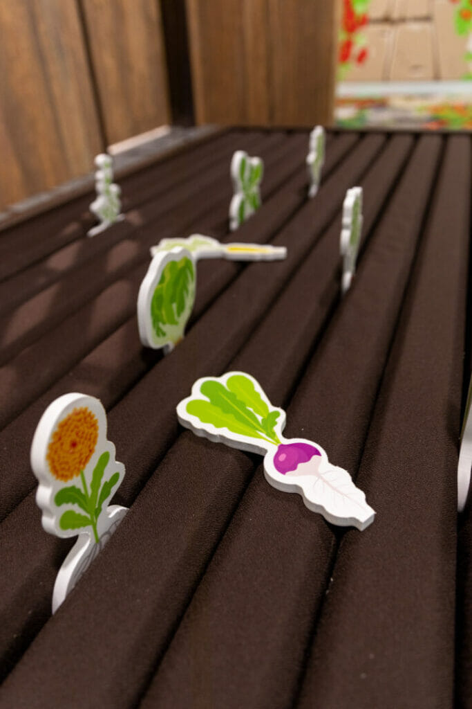 Curiosity Courtyard-20