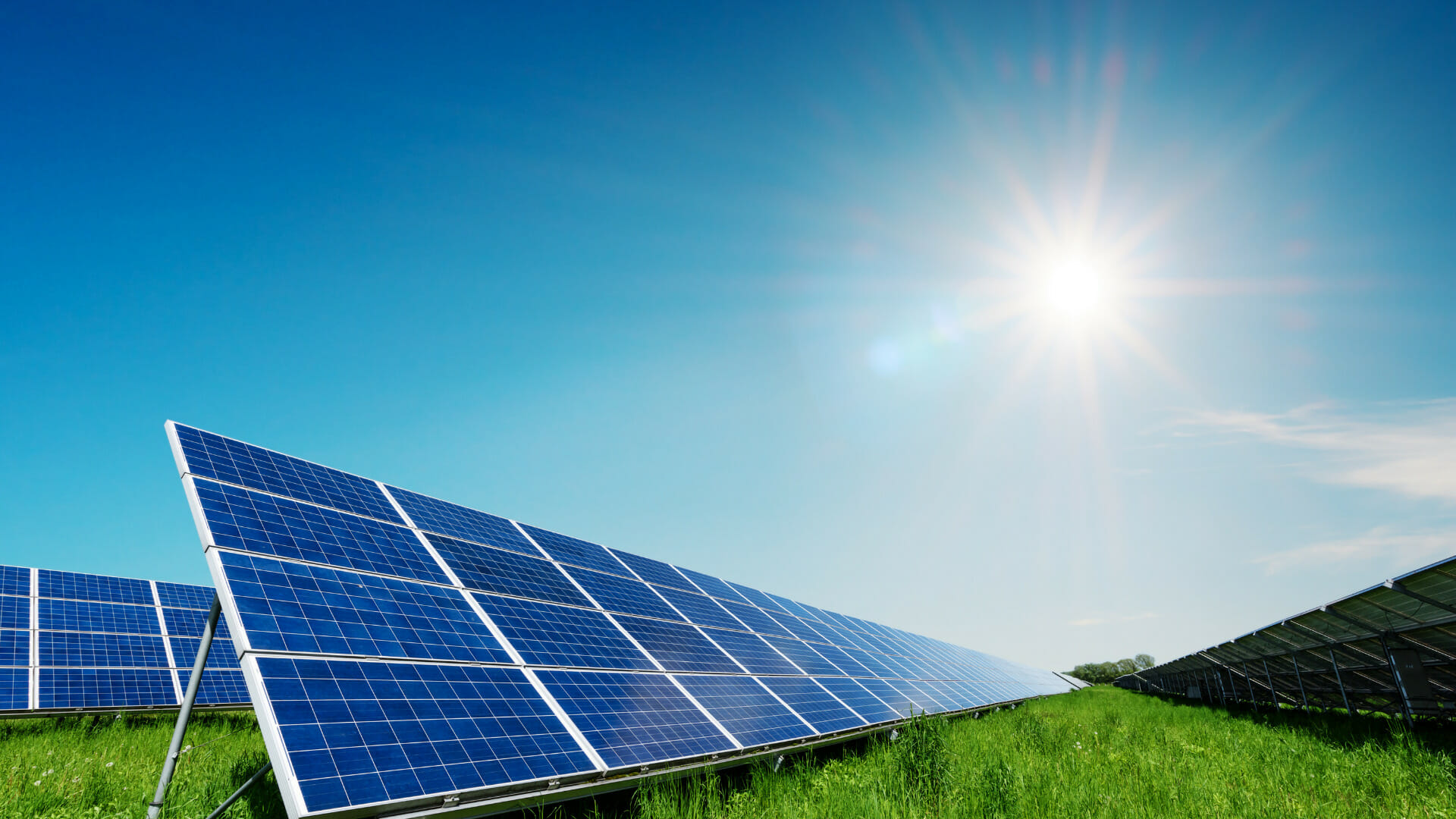 A Commitment to Carbon Neutrality