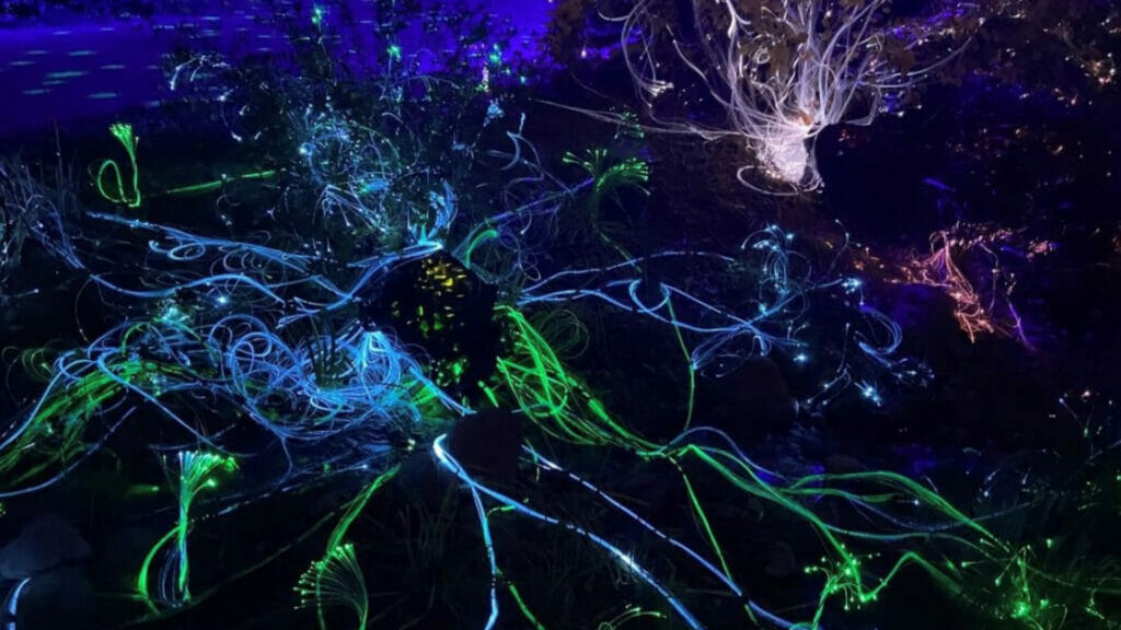 Copy of Blog Featured Image Template (1) Living Lights