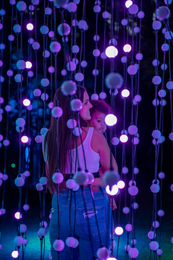 Glenlore PULSE-08233