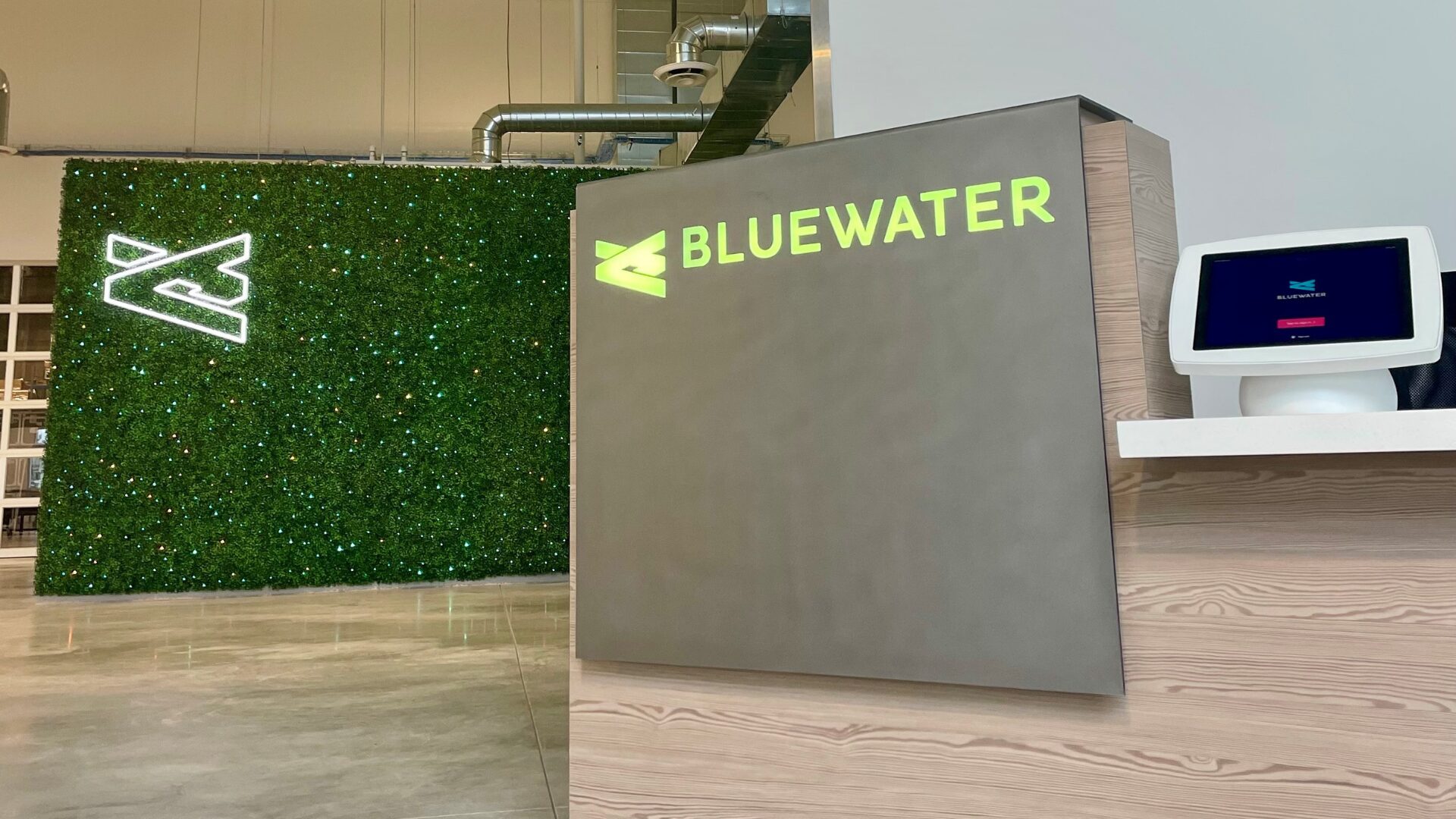 Bluewater Welcomes Kaitlin Sigelbaum as Executive Creative Director